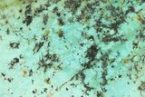 Bright Blue Apatite (Fluorapatite) Slab - Madagascar #338139-1